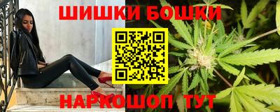 Альфа ПВП Будённовск