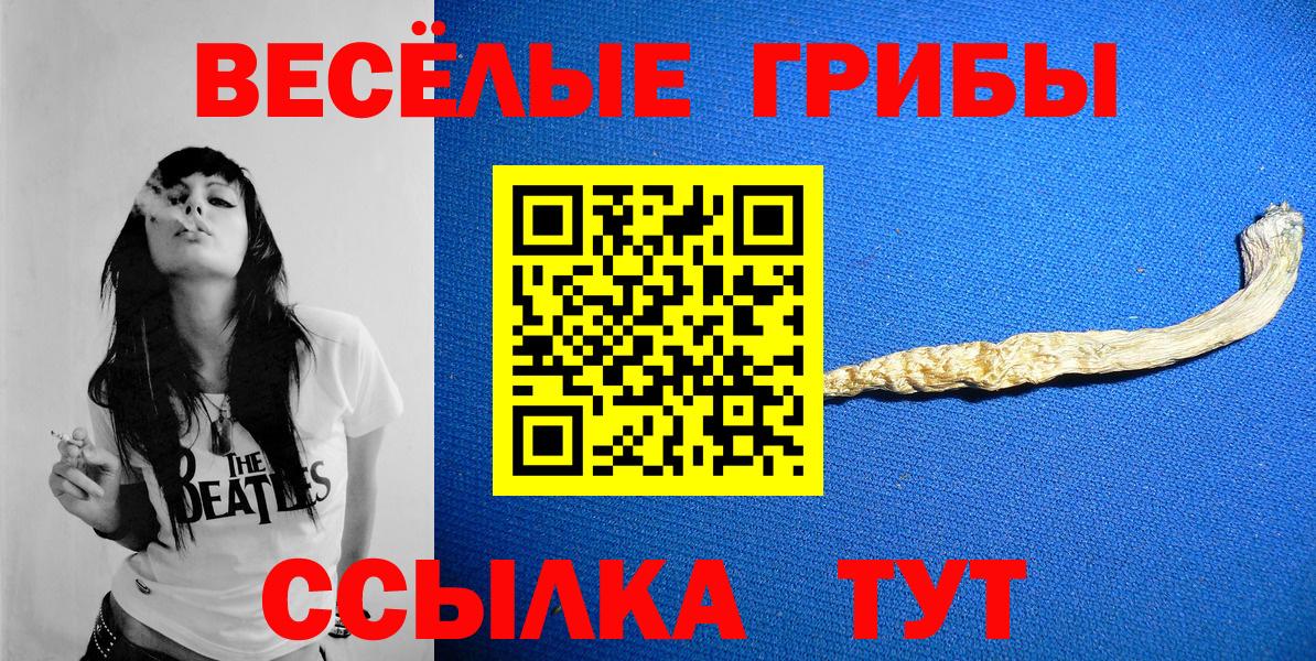 Шуя  Галлюциногенные грибы мухоморы  Псилоцибиновые грибы ЛСД  Вход с VPN 