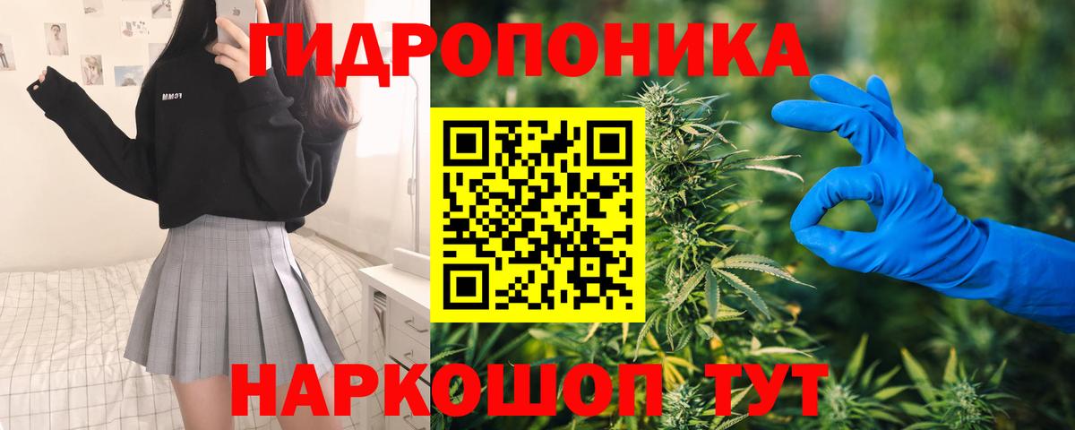 Каннабис план  Каннабис SATIVA & INDICA  Вход с VPN  Шуя 